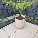 Mit Jacuzzi Enschede 10km Apartman *